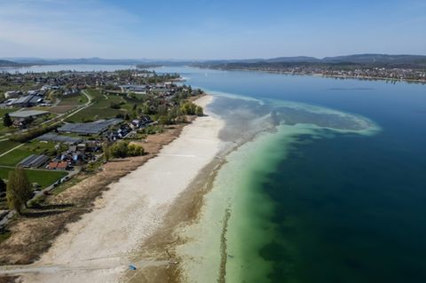 Blick auf Bodensee