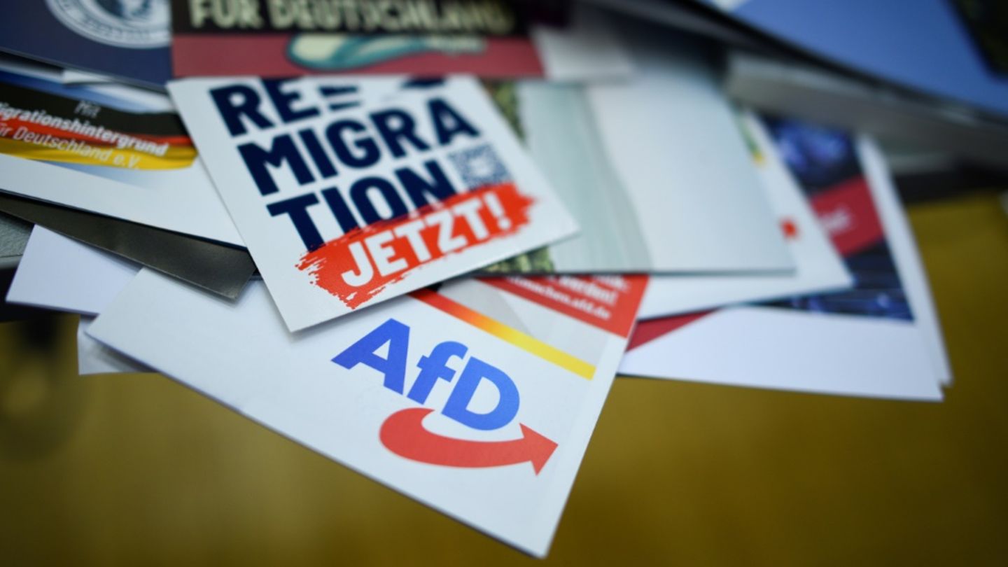 AfD-Werbematerial