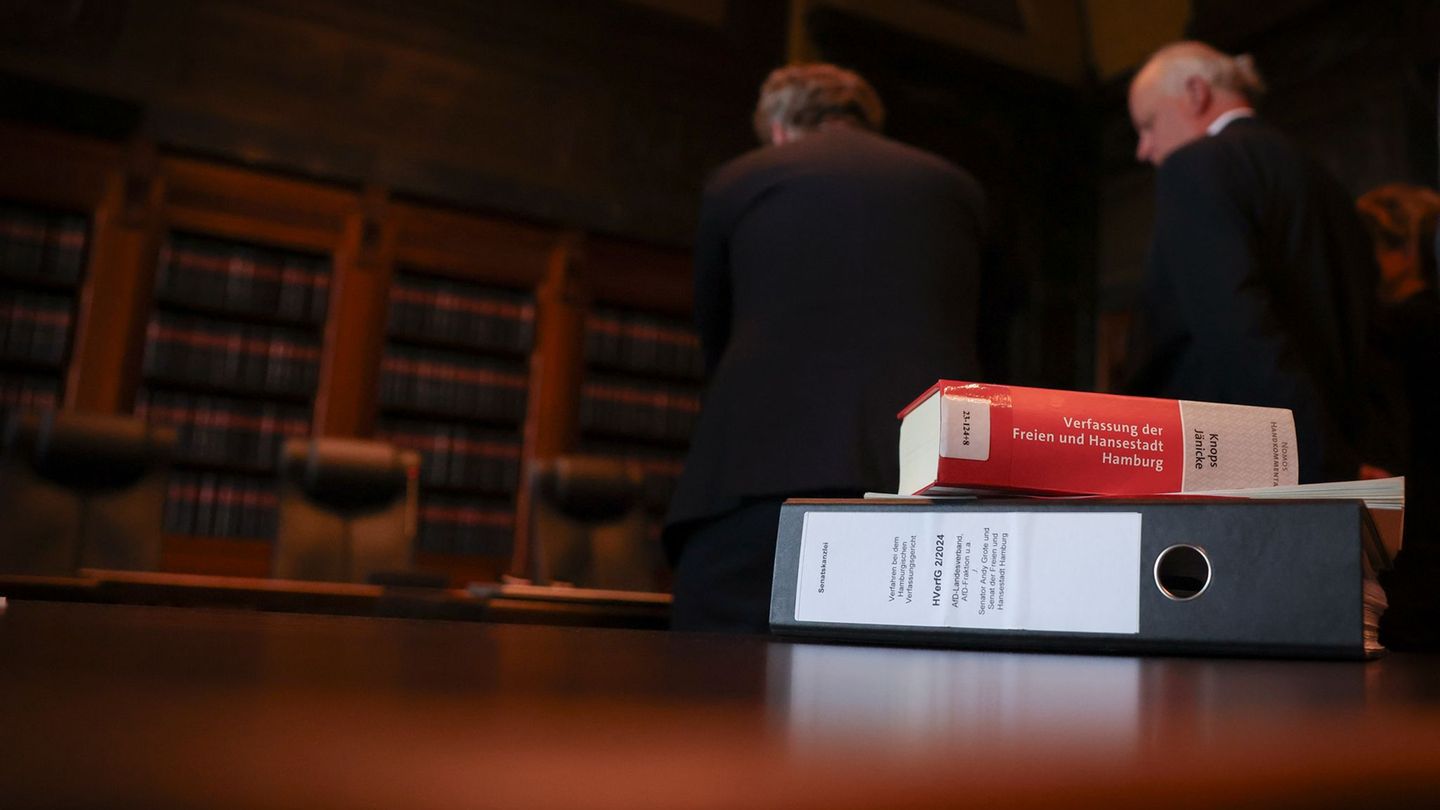 Hamburgs Verfassungsgericht urteilt über AfD-Klage gegen Innensenator Grote. (Archivbild) Foto: Christian Charisius/dpa