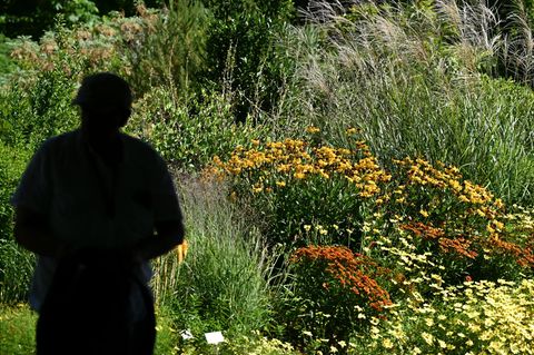 "Während der Pandemie haben wir eine größere Zahl an Diebstählen festgestellt", berichtet eine Sprecherin des Botanischen Garten
