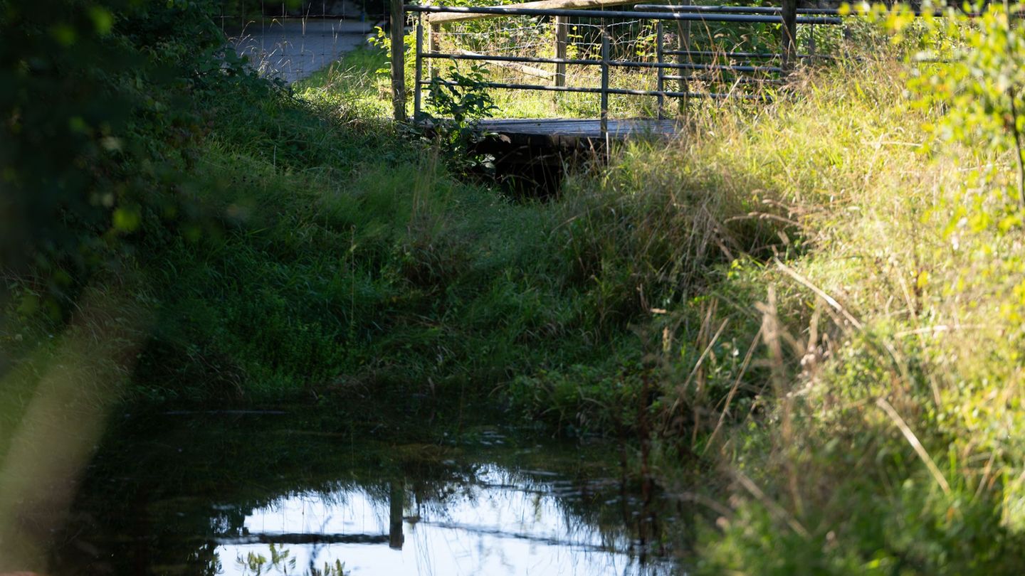 Mitarbeiter eines Bauhofes haben die Leiche in dem Koffer entdeckt. (Archivbild) Foto: Markus Lenhardt/dpa