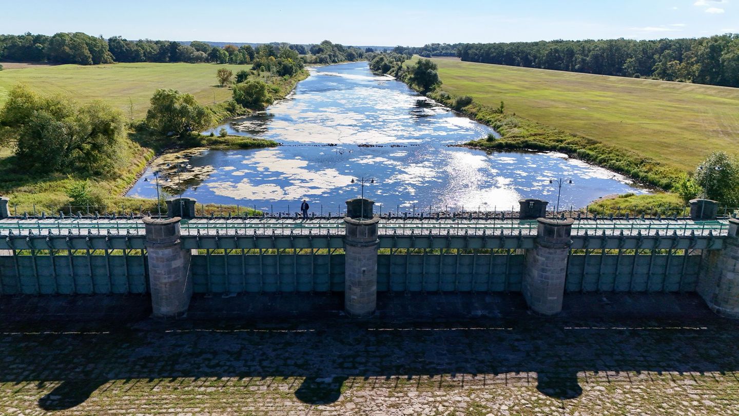 Das Pretziener Wehr wurde in seiner 150-jährigen Geschichte insgesamt 64 Mal geöffnet. Foto: Peter Gercke/dpa