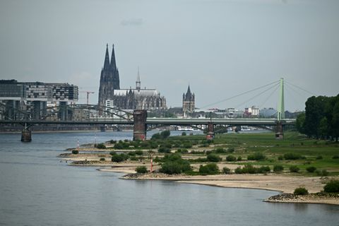 Rhein bei Niedrigwasser in Köln