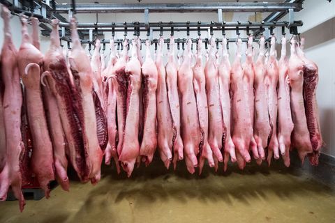 China erschwert mit Zöllen den Import von Schweinefleisch aus der EU. (Symbolbild) Foto: Christian Charisius/dpa