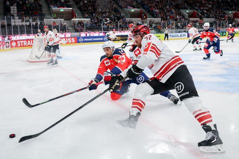 Die Pinguins Bremerhaven in der Champions League. Foto: Christian Merz/KEYSTONE/dpa