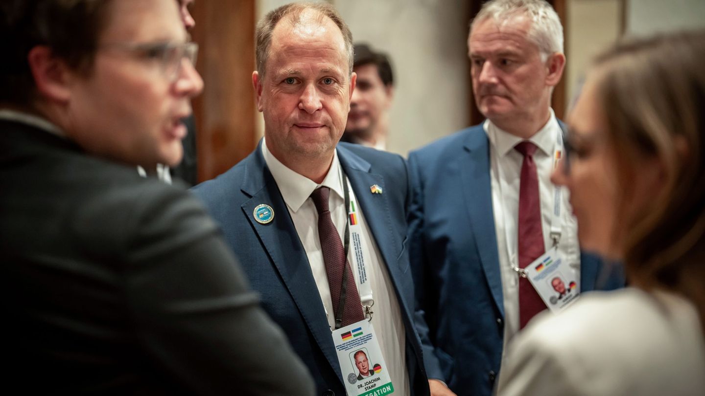 Federal Government: Deletion of federal representatives brings 180,000 euros