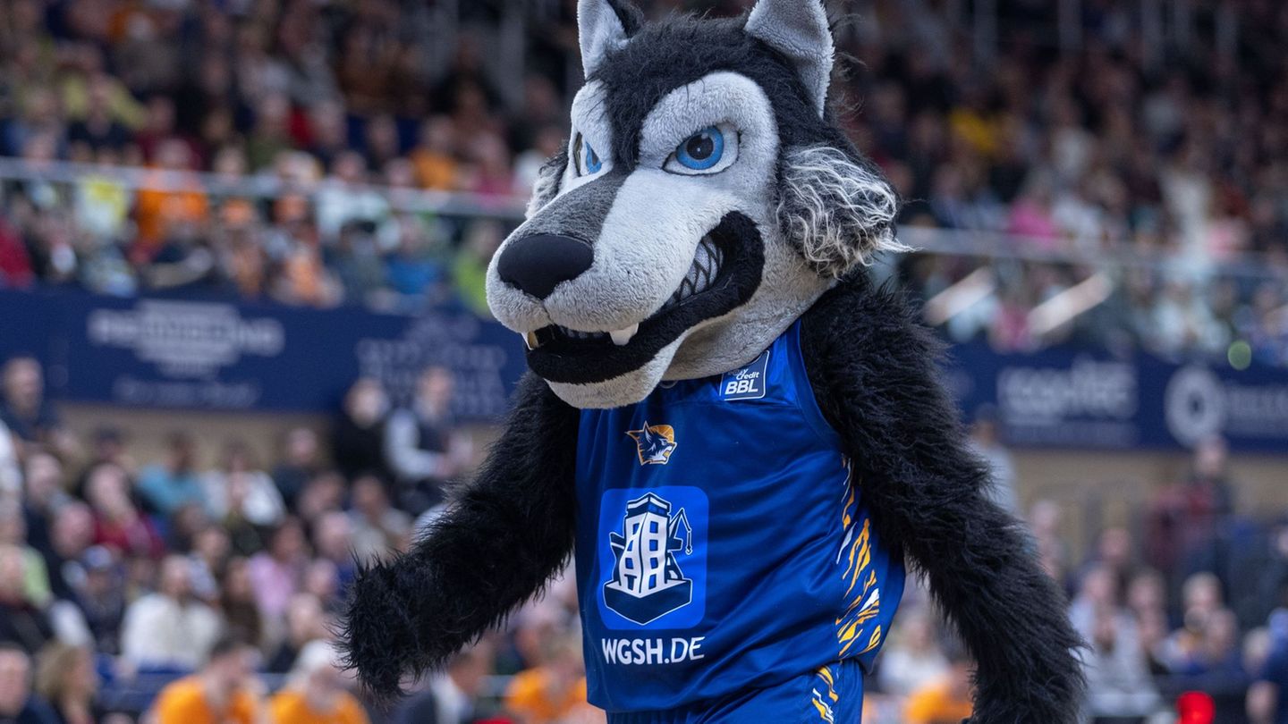 Das Rostocker Maskottchen "Wolfi". Foto: Jens Büttner/dpa
