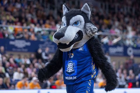 Das Rostocker Maskottchen "Wolfi". Foto: Jens Büttner/dpa