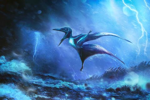 Starke Windböe brechen die zarten Knochen: Künstlerische Darstellung eines kleinen Pterodactylus-Babys in einem Tropengewitter.