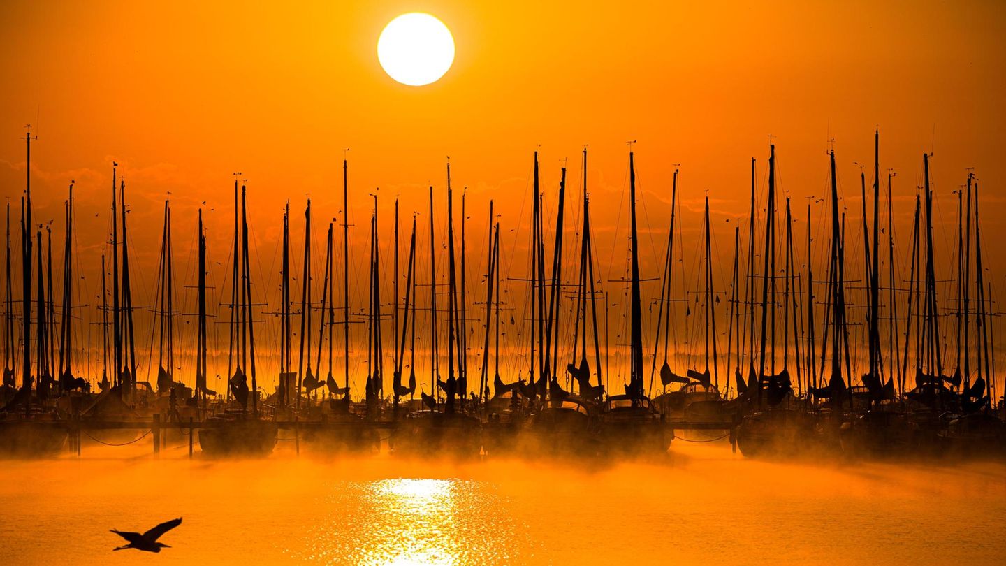 Mardorf, Deutschland. Beginnt der Goldene Herbst? Die Sonne geht hinter einem Steg am Steinhuder Meer in der Region Hannover in Niedersachsen auf