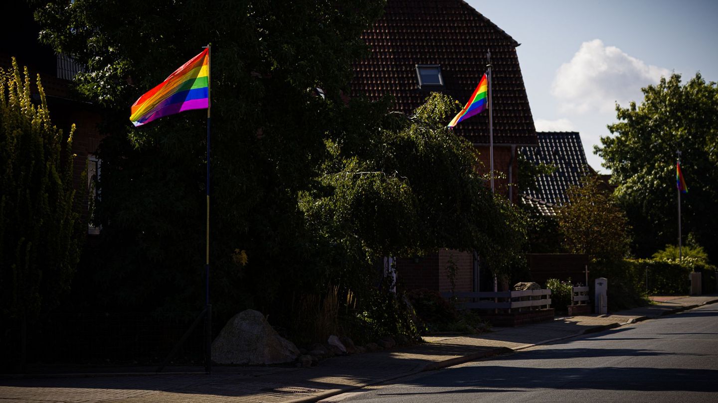 Regenbogenfahnen wehen in einer Straße in Wahrenholz. Foto: Moritz Frankenberg/dpa