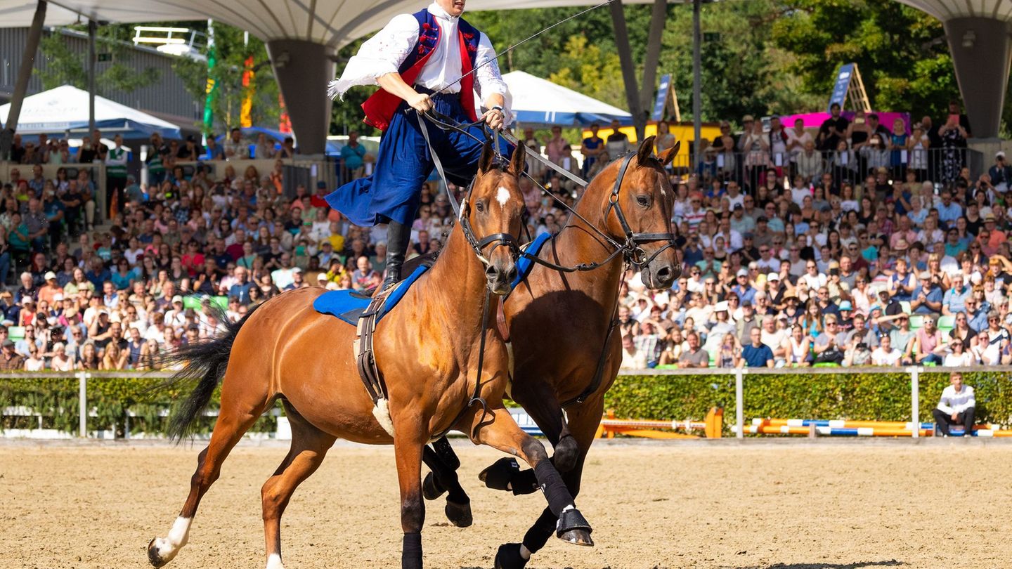 In Moritzburg ist am Samstag die traditionelle Hengstparade eröffnet worden. Foto: Jürgen Lösel/dpa