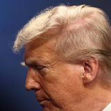 Nach seiner Optik wurde sogar schon eine Motte (Neopalpa donaldtrumpi) benannt. Es gibt wohl kaum einen Witz, ein Meme oder eine Karikatur, die nicht schon über Donald Trumps Frisur im Netz die Runde gemacht hat. Die markante Föhnwelle ist seit Jahrzehnten sein Markenzeichen. Angeblich macht sich sogar seine Tochter Ivanka über seine Haare lustig.