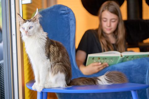 Die Aktion soll den Kindern helfen, ihre Scheu beim Vorlesen zu überwinden. Foto: Sascha Ditscher/dpa