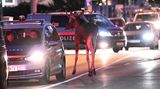 St. Pölten, Österreich. Ja simmer' hier denn in Schweden? Keineswegs! Elch Emil ist waschechter Wahl-Österreicher. Seit rund zweieinhalb Wochen hält er das Bundesland Niederösterreich auf Trab – vor allem, weil er so neugierig ist. Dieses Wochenende hat er einen Ausflug in die Landeshauptstadt St. Pölten gemacht. Immer wieder begleitet von der Polizei – so ganz an die Straßenverkehrsordnung hat sich Emil nämlich noch nicht gewöhnt
