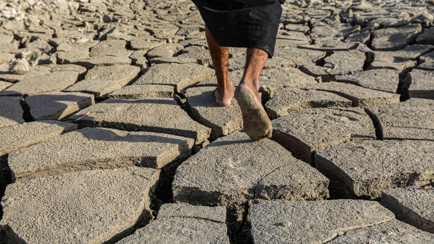 Das Gebiet um den Euphrat gilt als Wiege der Zivilisation - und vertrocknet. Foto: Nabil al-Jurani/AP/dpa