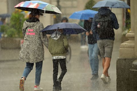 Am Dienstag sollen Regenwolken über den ganzen Freistaat ziehen. (Symbolbild) Foto: Malin Wunderlich/dpa