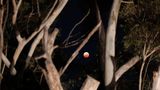 Mondfinsternis über Australien