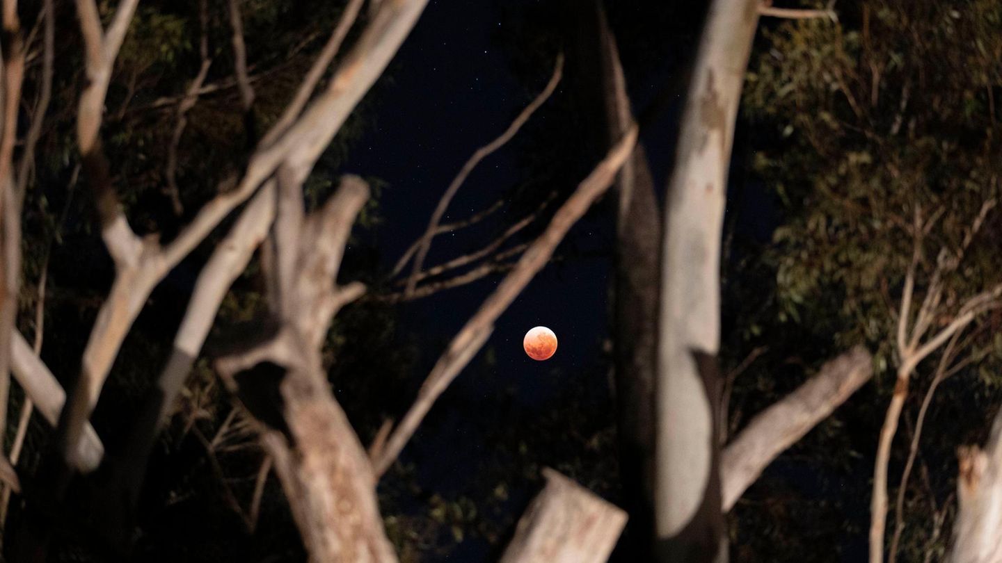 Mondfinsternis über Australien