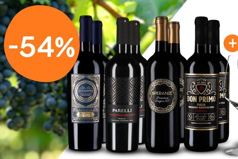 Vicampo Wein-Deal