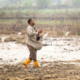 Ein Bauer säht auf einem Feld bei Alexandria im Nildelta Samen aus. Für das antike Ägypten war der Nil die Lebensader, heute kann selbst dieser majestätische Fluss den Durst des Landes nicht stillen. In diesem Jahr soll das Land die Marke der absoluten Wasserknappheit überschreiten. Den Anbau von Reis, der besonders viel Wasser erfordert, hat die Regierung in den meisten Teilen des Landes bereits vor Jahren verboten