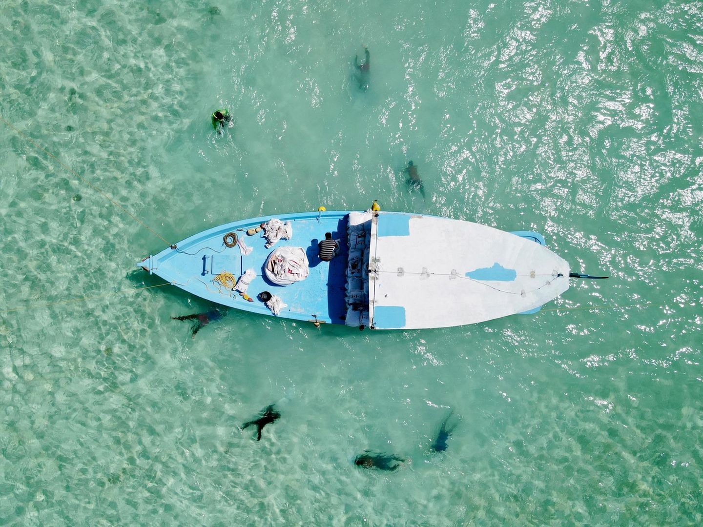 Meemu-Atoll, Malediven