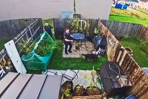 In diesem Bild versteckt sich ein Häftling – wer findet ihn?
