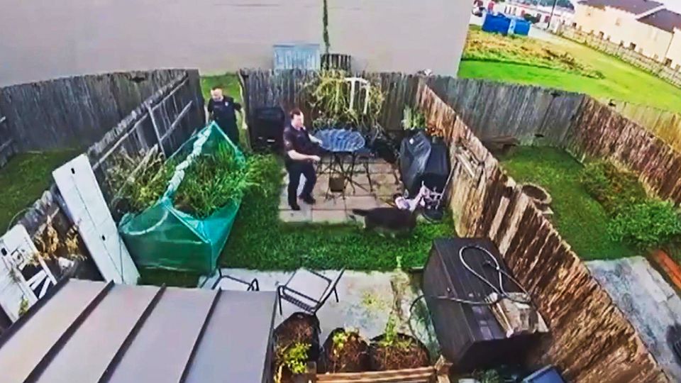 In diesem Bild versteckt sich ein Häftling – wer findet ihn? In diesem Bild versteckt sich ein Häftling – wer findet ihn?