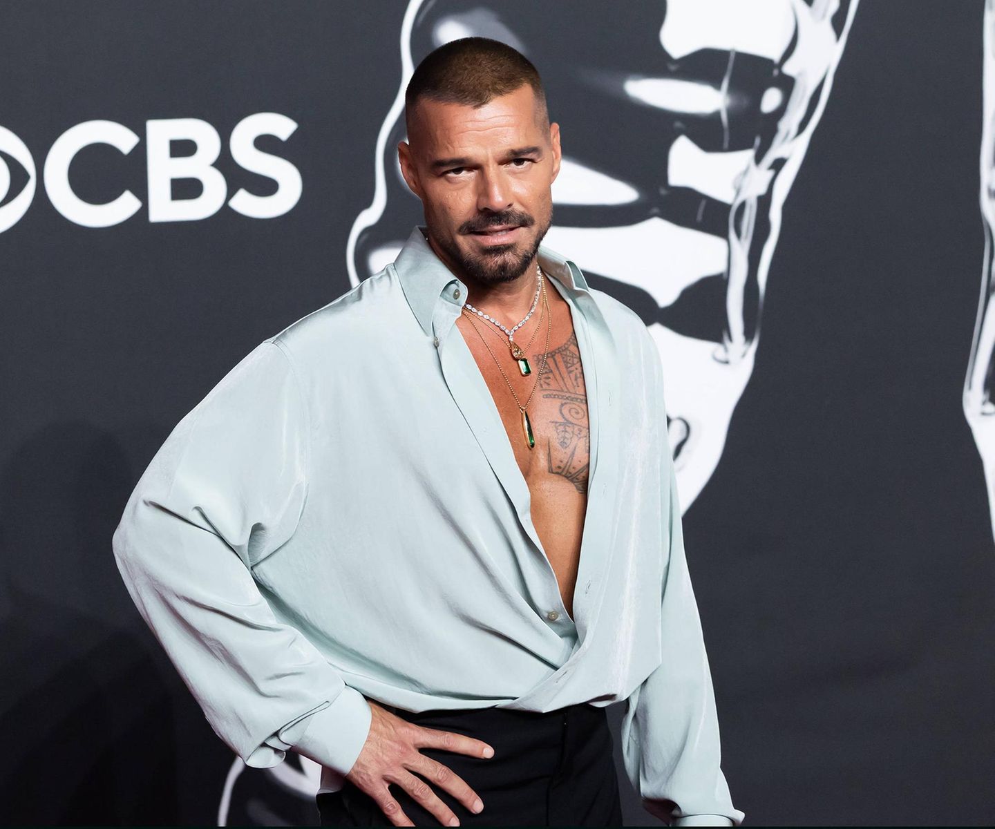 Den tiefsten Ausschnitt des Abends brachte Ricky Martin mit auf den roten Teppich. Der Sänger zeigte auf der Bühne ein Medley seiner größten Hits