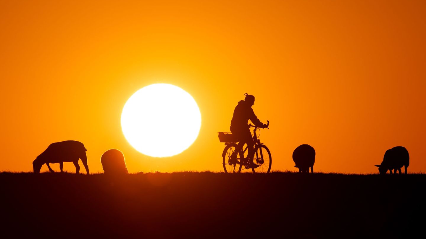 Laut WWF-Ranking sind die Radwege in Schleswig-Holstein gut ausgebaut (Symbolbild). Foto: Daniel Reinhardt/dpa