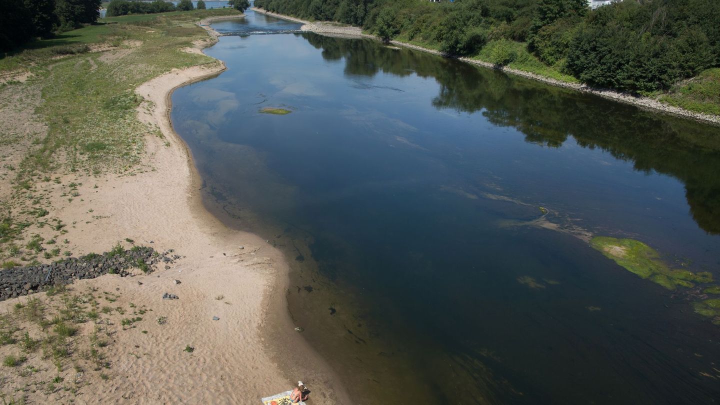 Eine naturnahe Auen-Landschaft und ein verlässlicher Hochwasserschutz sollen an der Lippe entstehen. (Archivbild) Foto: picture