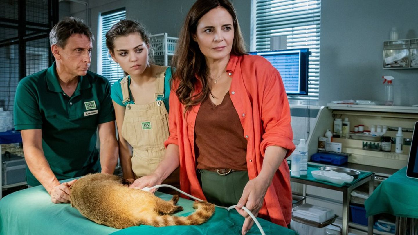 "Tierärztin Dr. Mertens: Unter Druck": Dr. Susanne Mertens (Elisabeth Lanz, r.) bekommt Unterstützung von Cheftierpfleger Conn