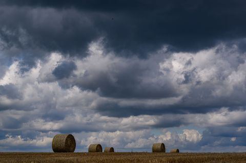 Regen kommt auf Teile von Berlin und Brandenburg zu. (Archivbild) Foto: Patrick Pleul/dpa