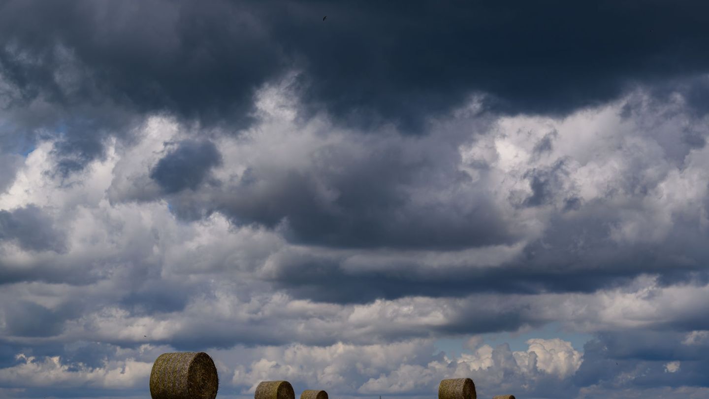 Regen kommt auf Teile von Berlin und Brandenburg zu. (Archivbild) Foto: Patrick Pleul/dpa