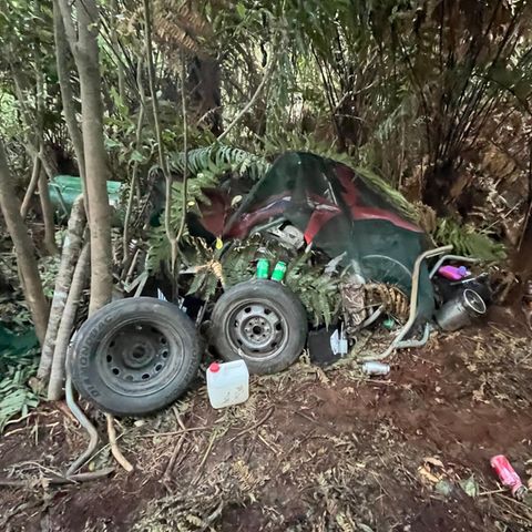 Mitten in Neuseelands Wildnis: Wo Phillips mit seinen Kindern jahrelang untertauchte