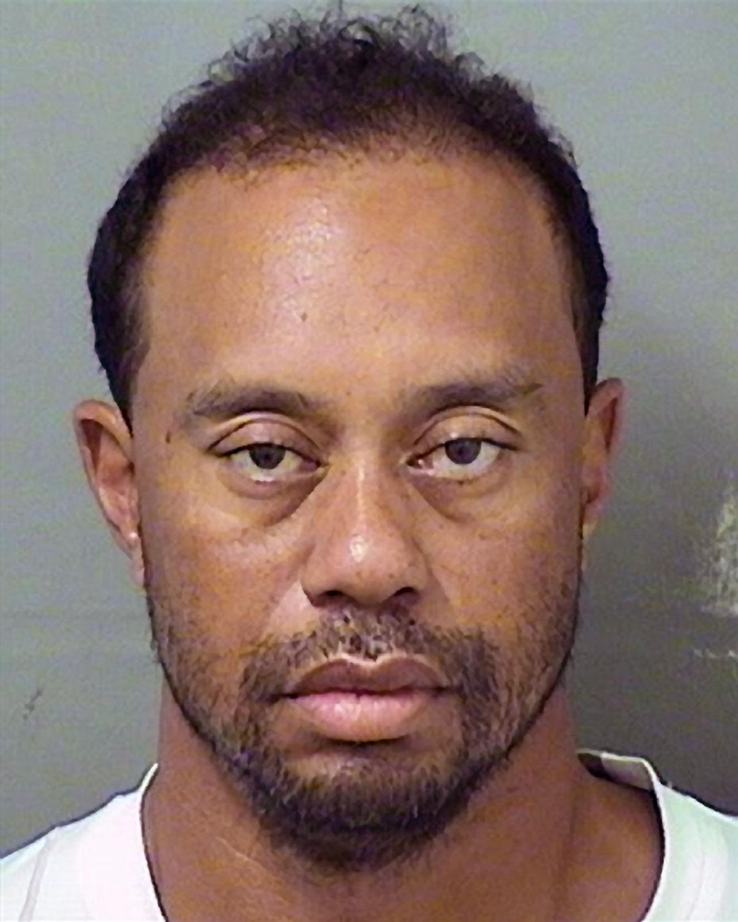 Polizeifoto von Tiger Woods