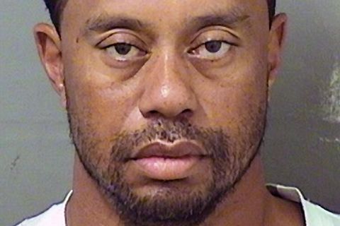 Polizeifoto von Tiger Woods