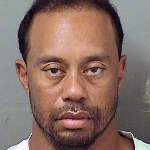 Polizeifoto von Tiger Woods