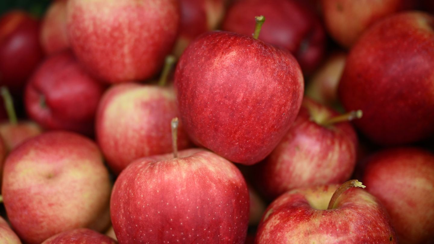Nach den verheerenden Ernteausfällen im vergangenen Jahr erwarten die Thüringer Obstbauern in diesem Jahr wieder eine normale Ap