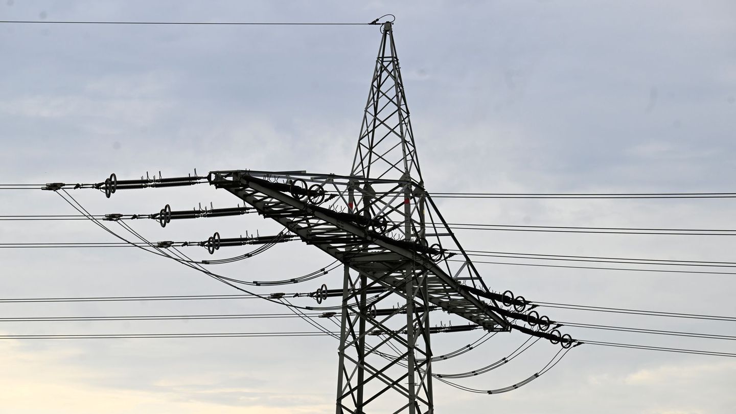 Die Fulda–Main-Leitung soll ab voraussichtlich 2031 die Umspannwerke Mecklar und Dipperz in Hessen mit dem Umspannwerk Bergrhein