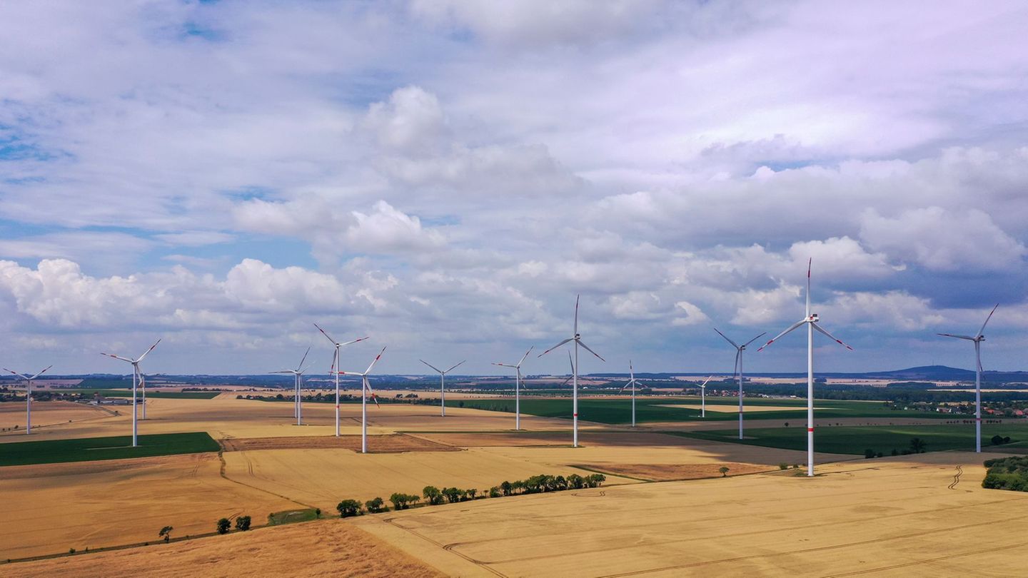 Das Thema Windkraft beschäftigt am Mittwoch den Landtag. Foto: Jan Woitas/dpa