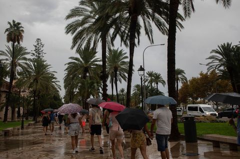 Kein Urlaubswetter auf Mallorca. Foto: Clara Margais/dpa