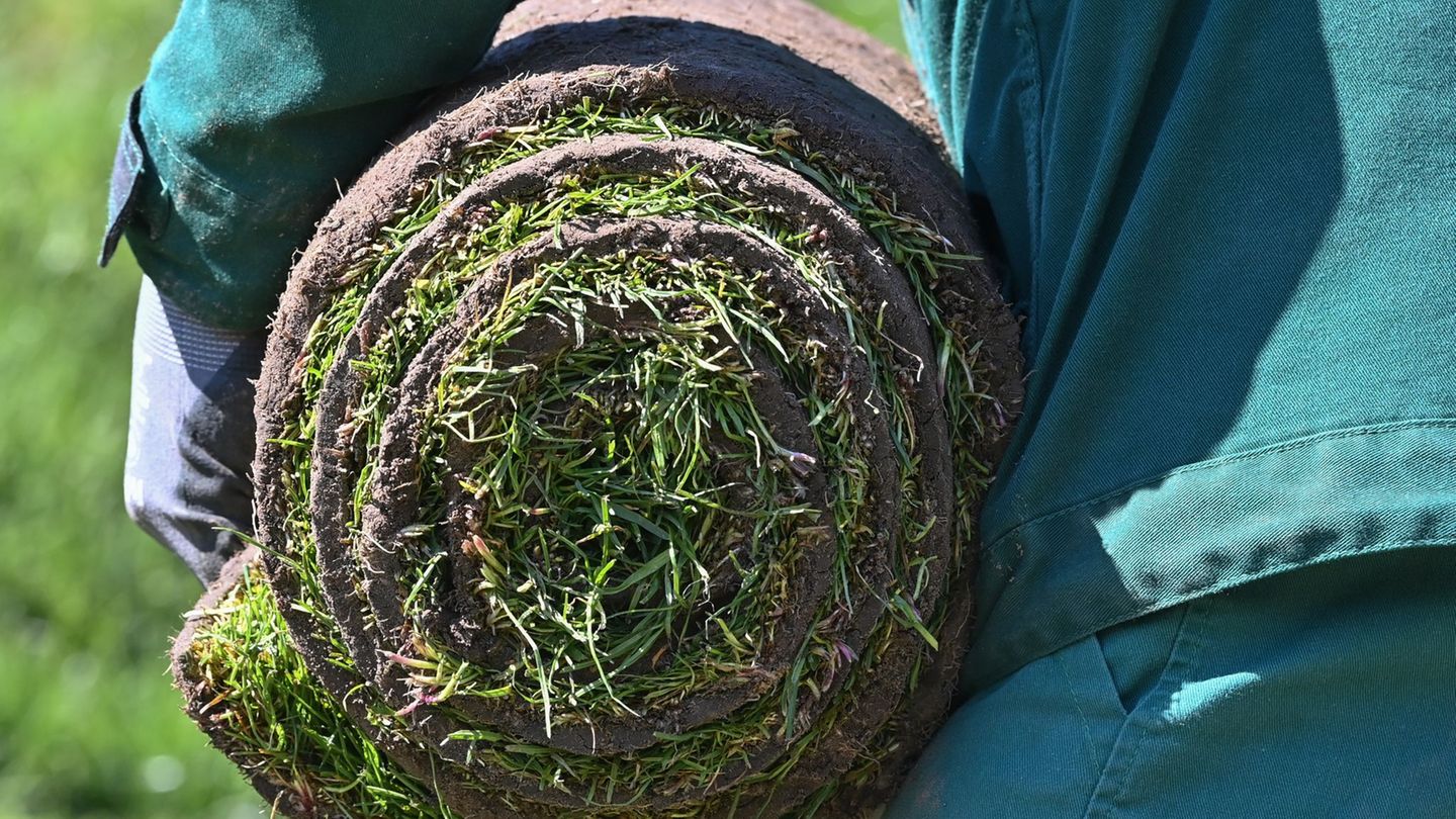 Die Diskussionen über den Klimawandel haben dem Garten- und Landschaftsbau Zuwachs gebracht. (Archivbild) Foto: Patrick Pleul/dp