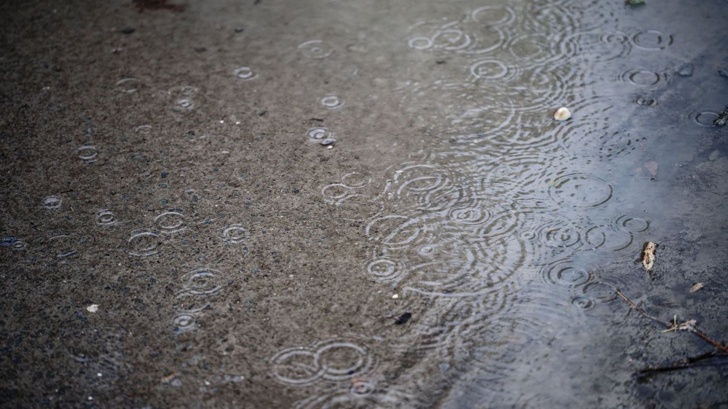 Der Regenschirm sollte bis zum Wochenende griffbereit bleiben. (Symbolbild) Foto: Henning Kaiser/dpa