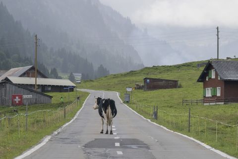 "Die Zahl der Deutschen mit Wohnsitz in der Schweiz steigt seit Jahren kontinuierlich", berichtete die Statistikbehörde. Binnen