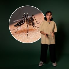 Endlich verstehen: Warum stechen Mücken manche Personen ständig – und lassen andere in Ruhe?