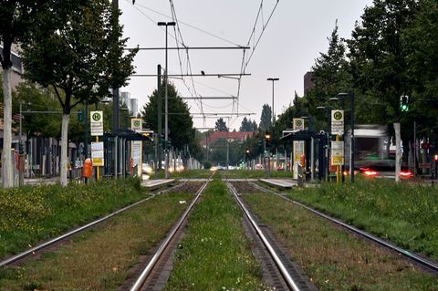 Der Stromausfall betrifft weiterhin große Teile im Südosten Berlins