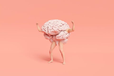 Das menschliche Gehirn besitzt unfassbare Fähigkeiten. Möglich werden sie wohl, weil die Evolution seine Entwicklung kurz nach der Geburt bewusst verlangsamt