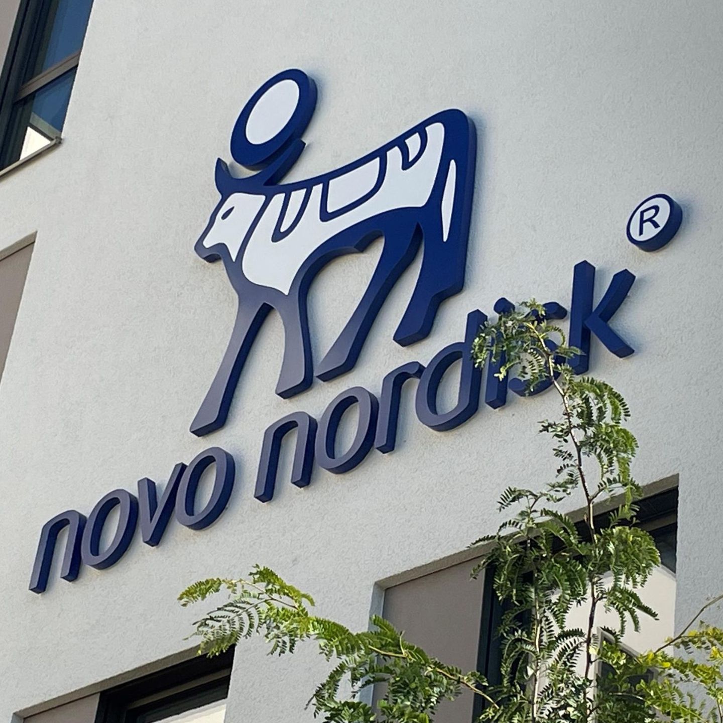 Das Logo von Novo Nordisk