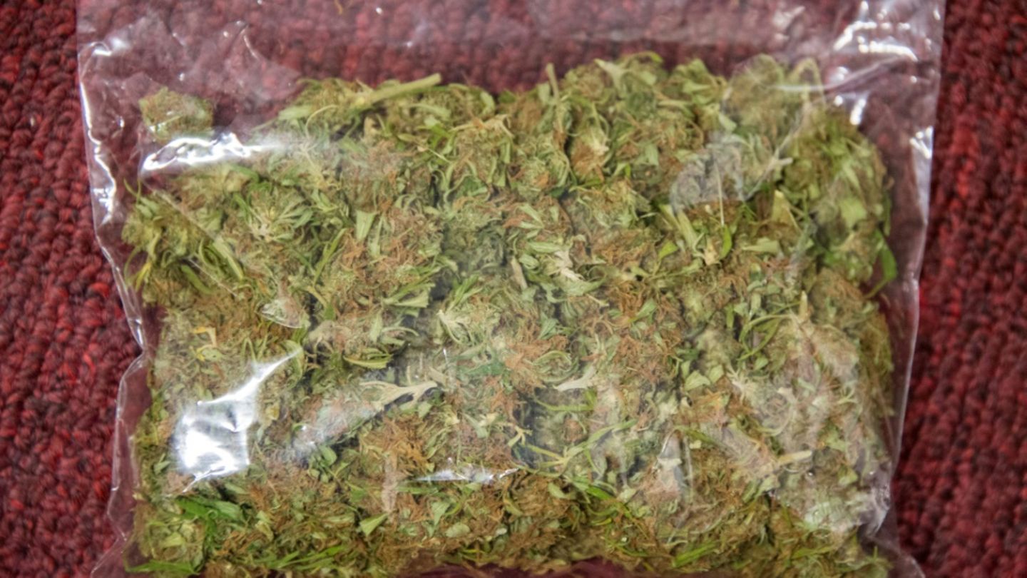 Cannabis